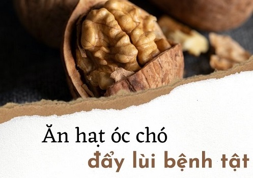 Ăn hạt óc chó, đẩy lùi bệnh tật